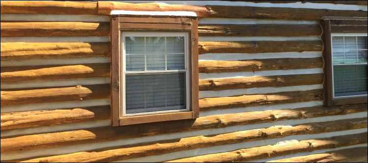 Log Home Whole Log Replacement  Randolph County, Alabama